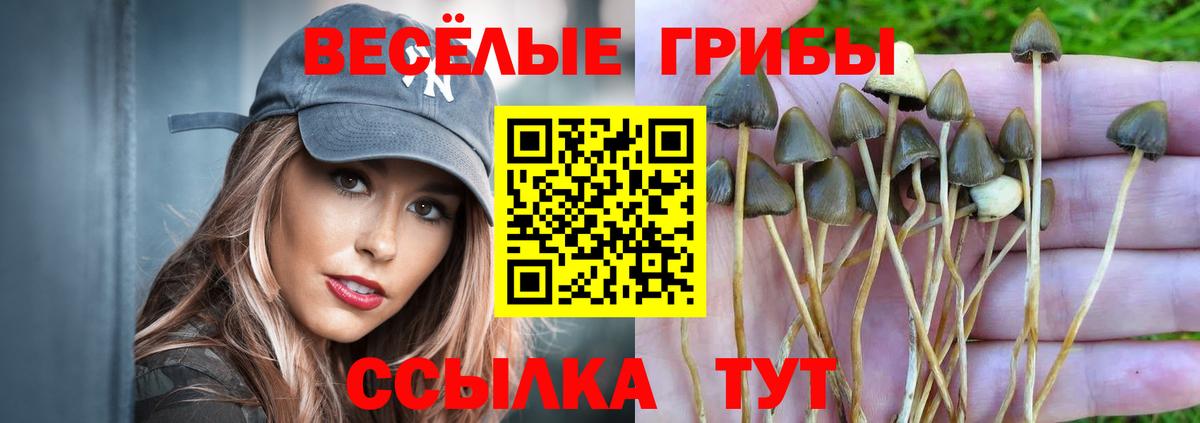 дарнет шоп  Галлюциногенные грибы Cubensis  Вход с VPN  Минеральные Воды 
